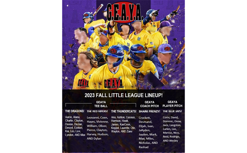 It’s Official! GEAYA Little League Teams Select Their Names!